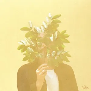 FKJ: French Kiwi Juice