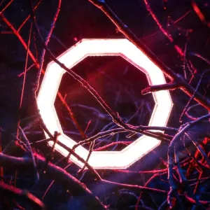 Hybrid Minds: Reflections