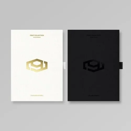 Sf9: First Collection (Incl. 120pg Booklet, 9pc Postcard Set, Mini PhotoStand   Selfie Photocard)