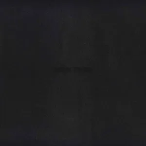 Staples, Vince: Dark Times