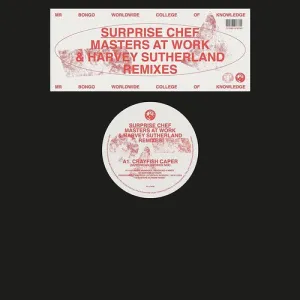 Surprise Chef: Masters Of Work Remixes