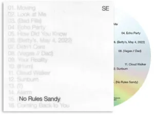 Sylvan Esso: No Rules Sandy