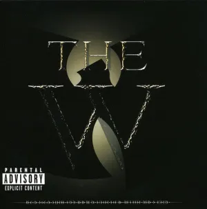Wu-Tang Clan: w